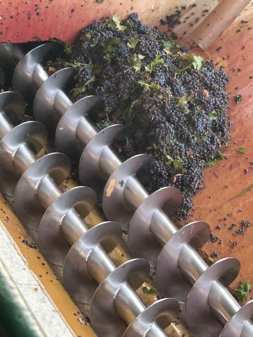 WhatsApp Image 2025-11-04 at 2.55.10 PM (6)