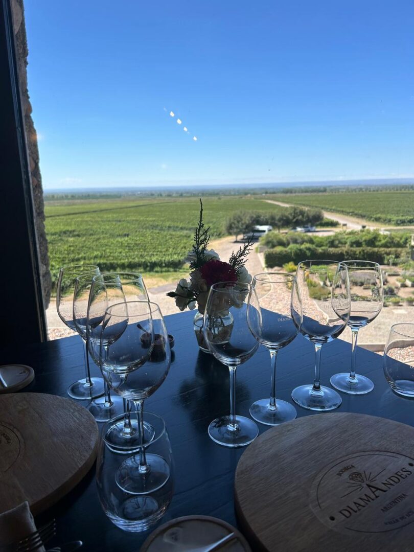 WhatsApp Image 2025-11-04 at 2.55.10 PM