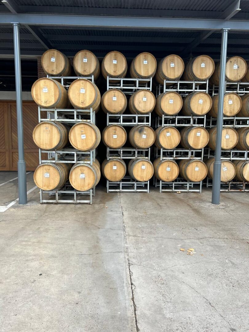 WhatsApp Image 2025-11-04 at 2.55.11 PM (2)