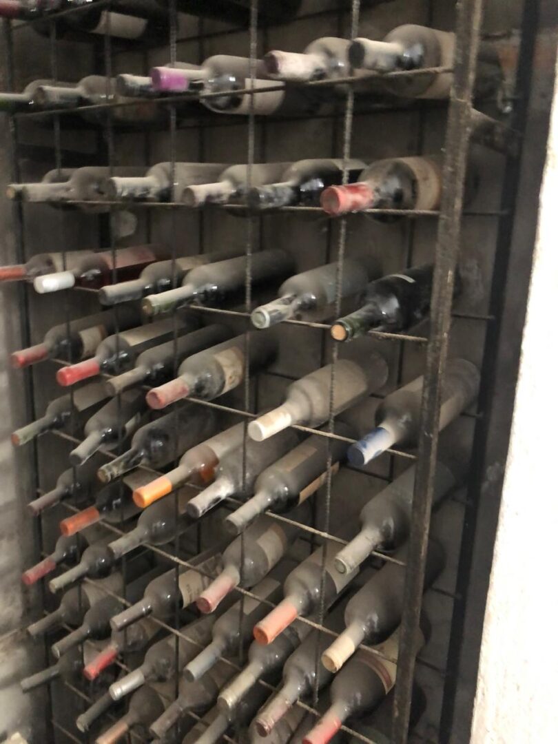 WhatsApp Image 2025-11-04 at 2.55.11 PM (4)