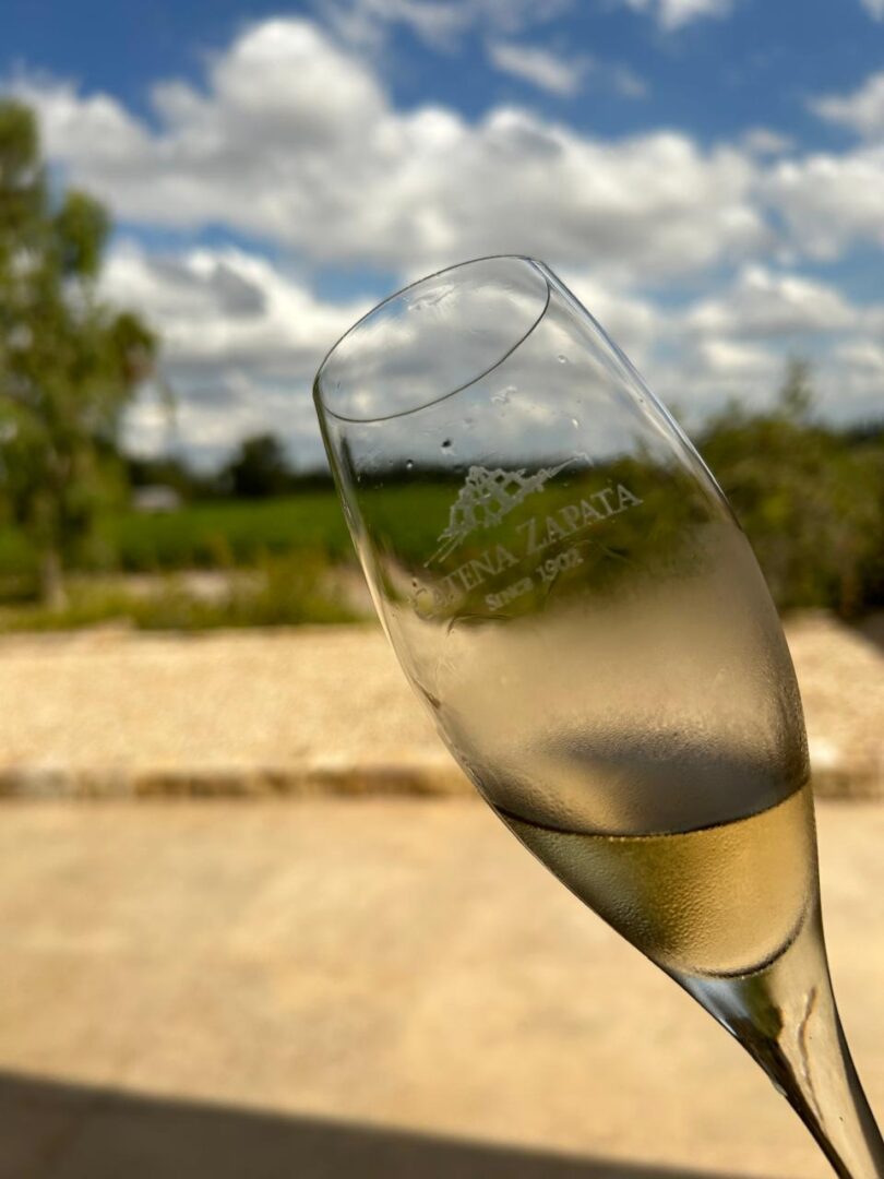 WhatsApp Image 2025-11-04 at 2.55.11 PM (7)