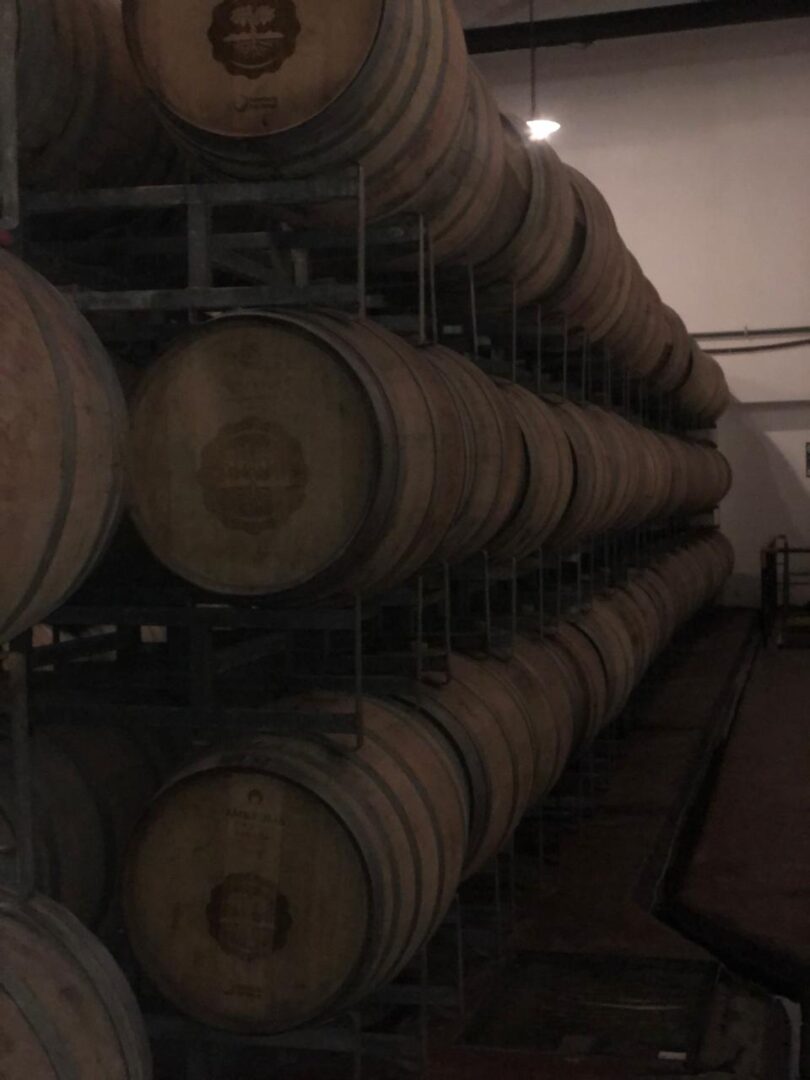 WhatsApp Image 2025-11-04 at 2.55.11 PM